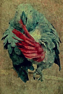 Read African Grey Parrot: Renaissance Birds: Journal/Notebook/Diary -  | ePub
