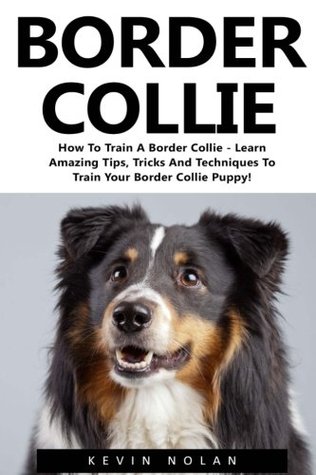 Read Border Collie: How To Train A Border Collie - Learn Amazing Tips, Tricks And Techniques To Train Your Border Collie Puppy! (Dog Training Guide, Border Collies, Border Collie Puppy) - Kevin Nolan | ePub