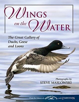 Download Wings on the Water: The Great Gallery of Ducks, Geese and Loons - Steve Maslowski file in ePub