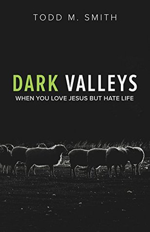 Full Download Dark Valleys: When You Love Jesus But Hate Life - Todd Smith file in PDF