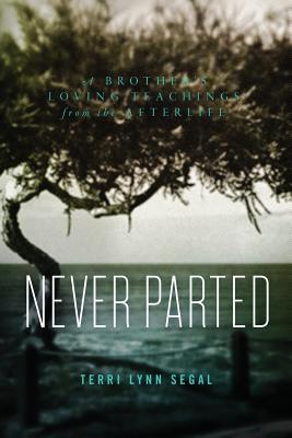 Read Online Never Parted: A Brother's Loving Teachings from the Afterlife - Terri Lynn Segal file in ePub