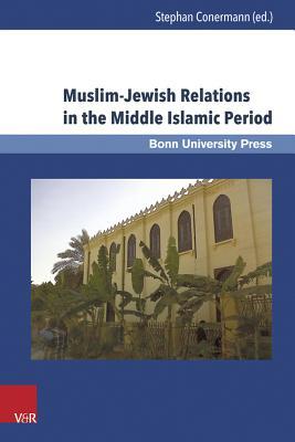 Read Online Muslim-Jewish Relations in the Middle Islamic Period: Jews in the Ayyubid and Mamluk Sultanates (1171-1517) - Dotan Arad file in ePub