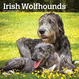Download Irish Wolfhounds 2019 12 x 12 Inch Monthly Square Wall Calendar, Animals Irish Dog Breeds -  file in PDF