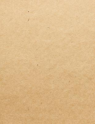 Full Download Plain Brown Paper Cover: College Ruled Journal 8.5x11 -  | PDF