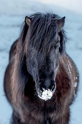 Read Black Icelandic Horse Journal: Take Notes, Write Down Memories in This 150 Page Lined Journal - Horse Lovers Journal | PDF