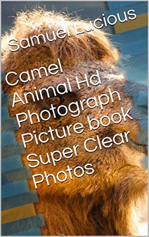Read Online Camel Animal Hd Photograph Picture book Super Clear Photos - Samuel Lucious file in PDF