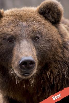 Read Bear: Notebook with Animals for Kids 110 Pages, Blank, 6 X 9 (College Ruled) School Notebook -  | PDF