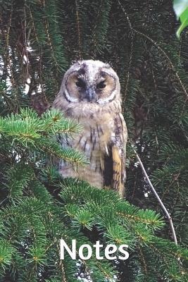 Full Download Notes: Owl 6 X 9 Blank Lined Writing Notebook Journal Composition Book, 110 Pages - Great Gift Idea for Owl Lovers -  | PDF