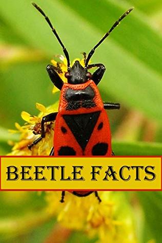 Full Download Beetle Facts: Photobook of Beetle Facts with real images and Facts that you should know that's so amazing (Fun Facts 22) - Peter Puff | PDF