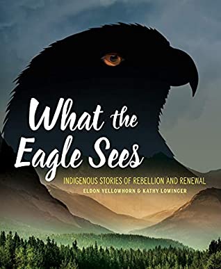 Read Online What the Eagle Sees: Indigenous Stories of Rebellion and Renewal - Eldon Yellowhorn file in ePub