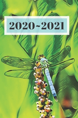 Download Light Teal Blue Dragonfly Green Background Dated Calendar Planner 2 years To-Do Lists, Tasks, Notes Appointments: Cute Small Pocket/Purse Size at-A-Glance Schedule Gift Notebook for Garden Lovers -  | PDF